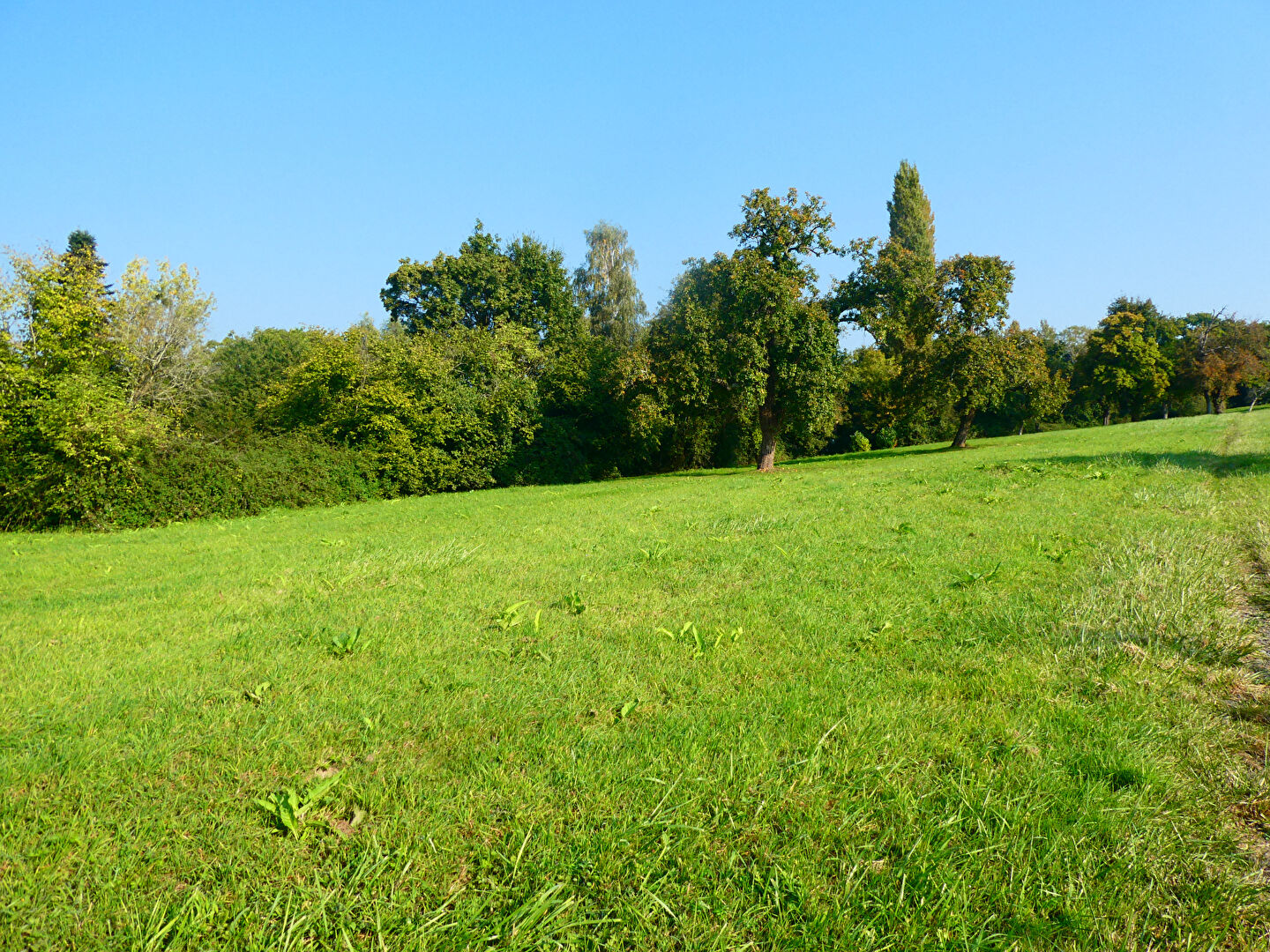 Terrain - PONT L EVEQUE