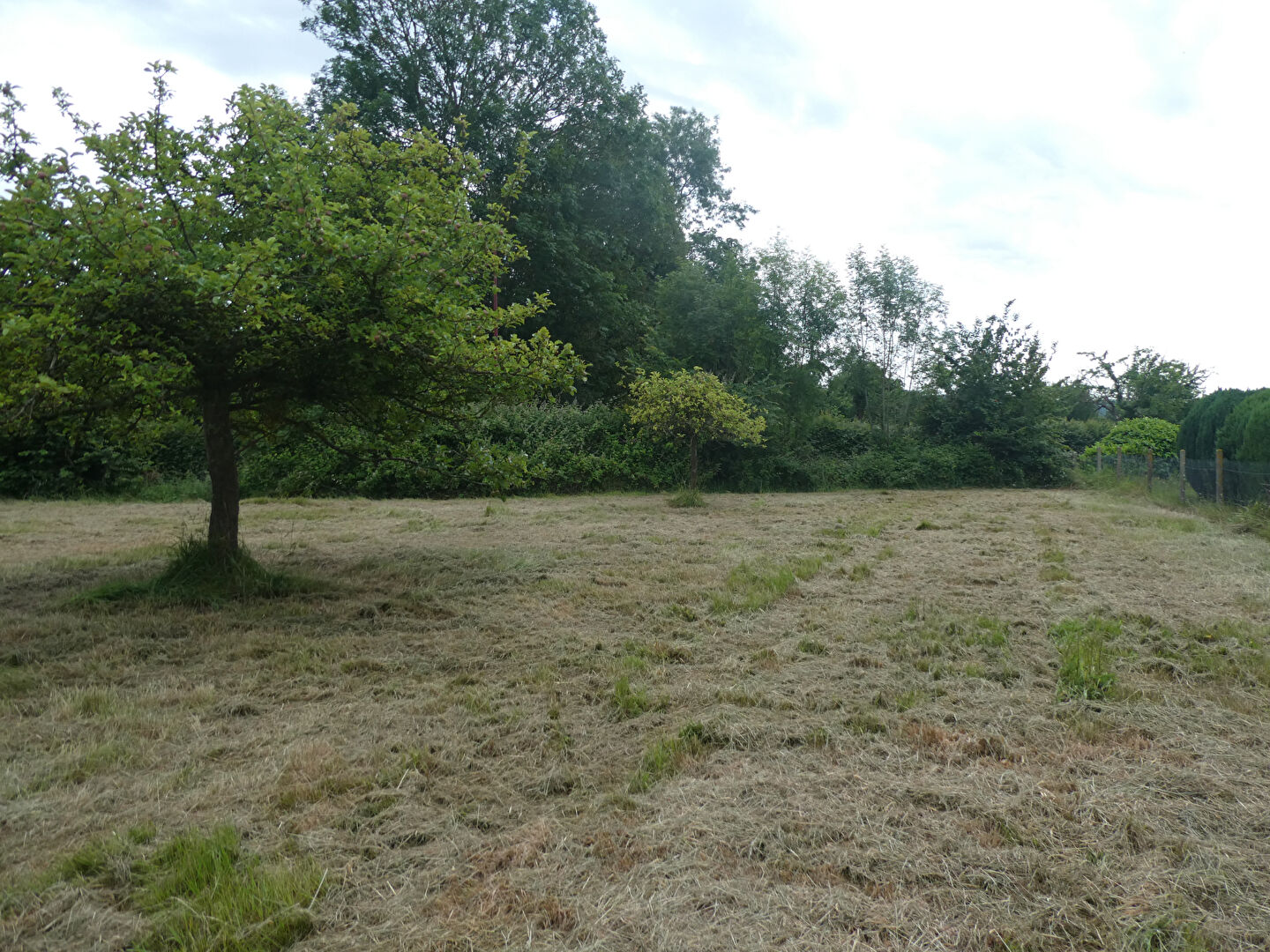 Immobilier - PONT L EVEQUE